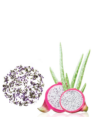 Mary Kay skin care ingredients featuring dragon fruit, aloe and more. 