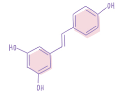 An illustration of a molecular structure that represents resveratrol