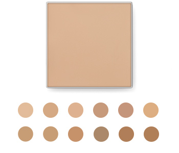 Find your perfect shade of Mary Kay Endless Performance Crème-to-Powder Foundation here.